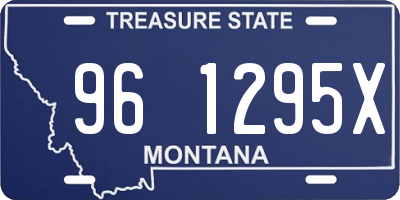 MT license plate 961295X