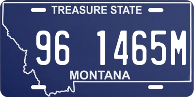 MT license plate 961465M