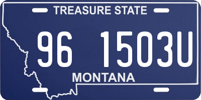 MT license plate 961503U