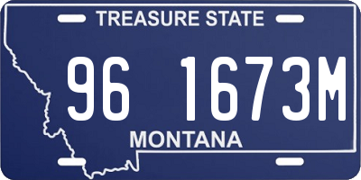 MT license plate 961673M