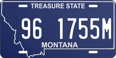 MT license plate 961755M