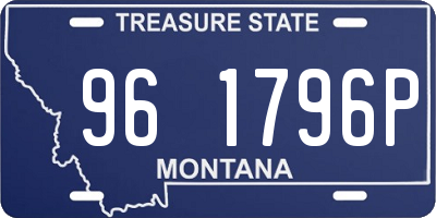 MT license plate 961796P