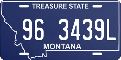 MT license plate 963439L