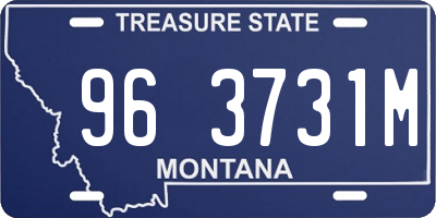 MT license plate 963731M
