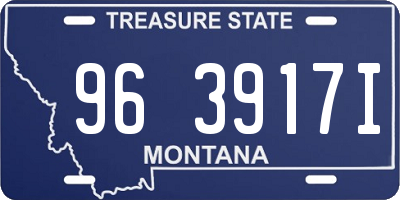 MT license plate 963917I