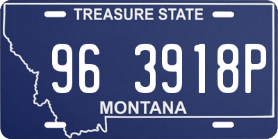 MT license plate 963918P