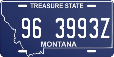 MT license plate 963993Z