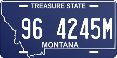 MT license plate 964245M