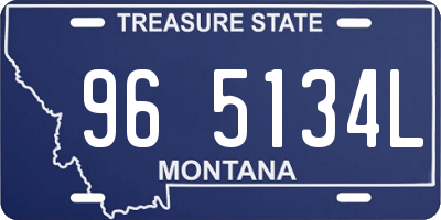 MT license plate 965134L