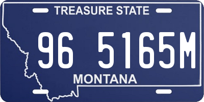 MT license plate 965165M