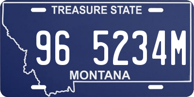 MT license plate 965234M