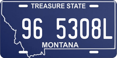 MT license plate 965308L