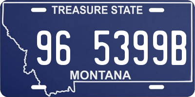 MT license plate 965399B