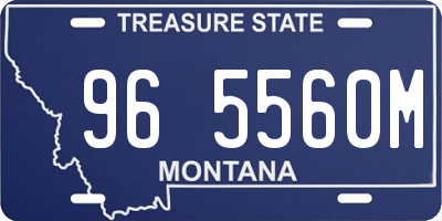 MT license plate 965560M