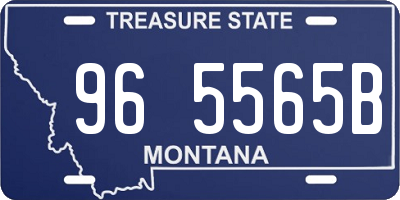 MT license plate 965565B