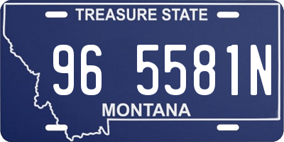 MT license plate 965581N