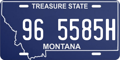 MT license plate 965585H