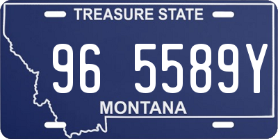 MT license plate 965589Y