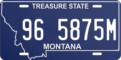 MT license plate 965875M