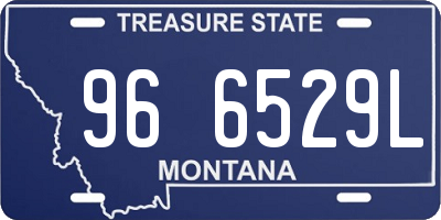 MT license plate 966529L