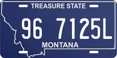 MT license plate 967125L