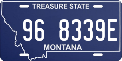 MT license plate 968339E