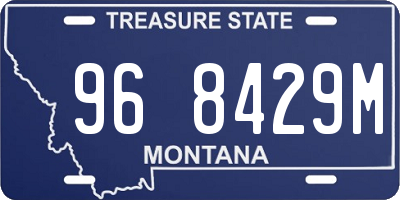 MT license plate 968429M