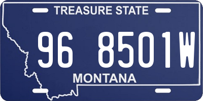 MT license plate 968501W