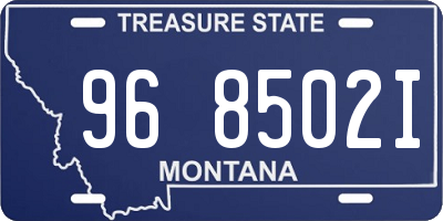 MT license plate 968502I