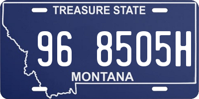 MT license plate 968505H