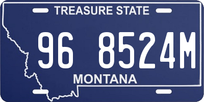 MT license plate 968524M