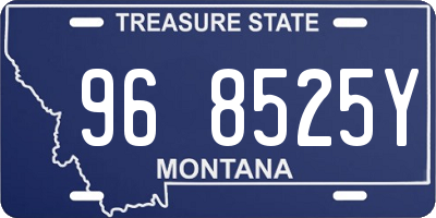 MT license plate 968525Y