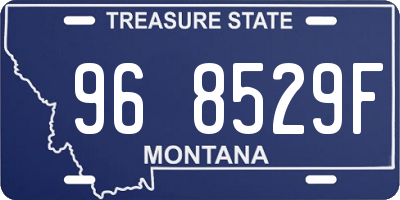 MT license plate 968529F