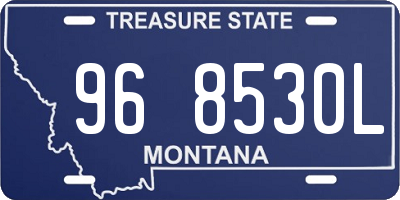 MT license plate 968530L