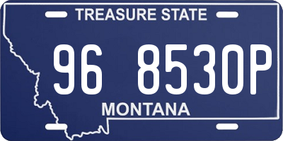 MT license plate 968530P