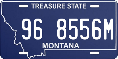 MT license plate 968556M