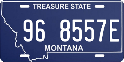 MT license plate 968557E