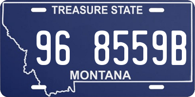 MT license plate 968559B
