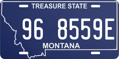 MT license plate 968559E