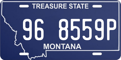 MT license plate 968559P