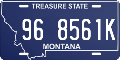 MT license plate 968561K