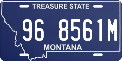 MT license plate 968561M