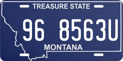 MT license plate 968563U