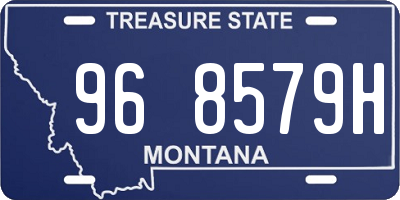 MT license plate 968579H