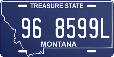 MT license plate 968599L