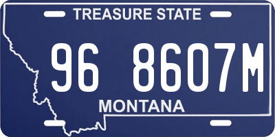 MT license plate 968607M