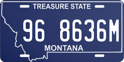 MT license plate 968636M
