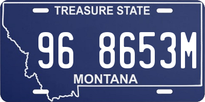 MT license plate 968653M