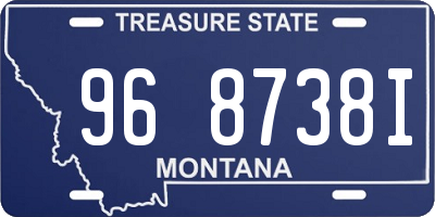 MT license plate 968738I