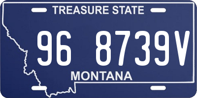 MT license plate 968739V